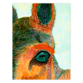 "See Me" Folded Greeting Card